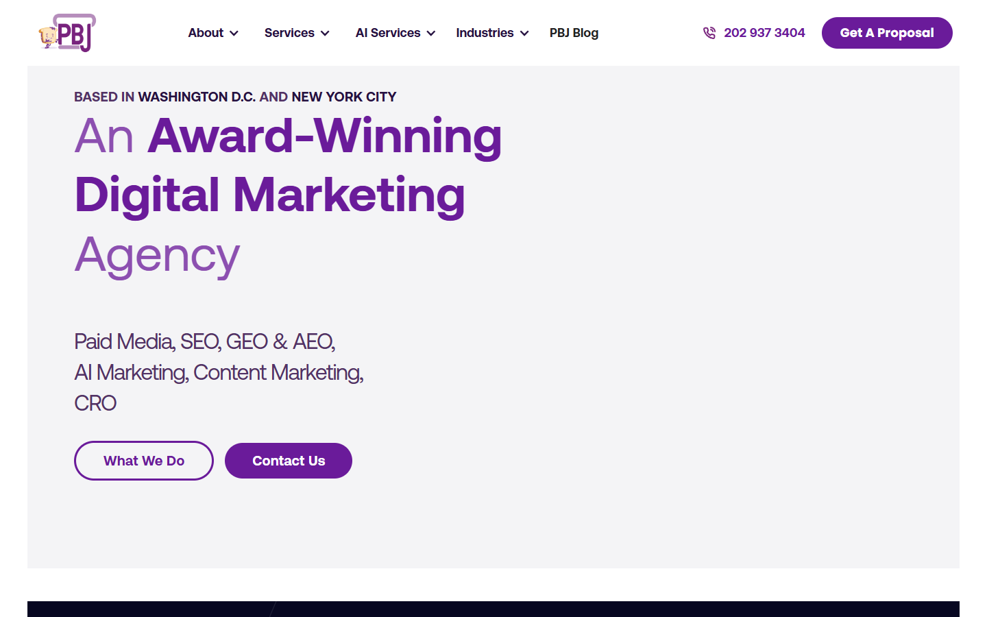 PBJ Marketing homepage captured for the New York AEO and GEO agency comparison in September 2026
